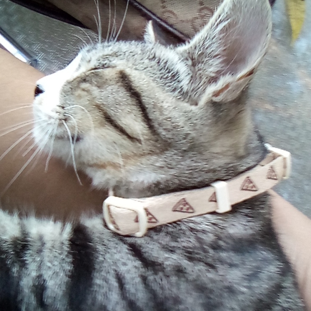 Pusheen adjustable pizza collar for pet NWT